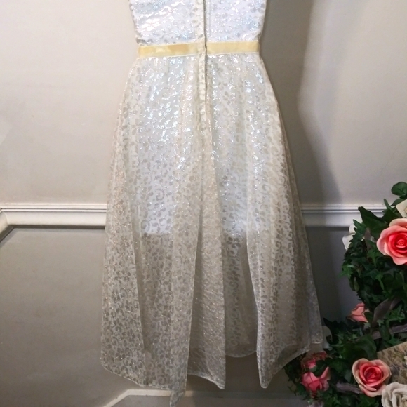 Vintage 1950's Handmade Silver Lace & Ivory Velvet Sleeveless Skater Style Dress - Picture 11 of 14